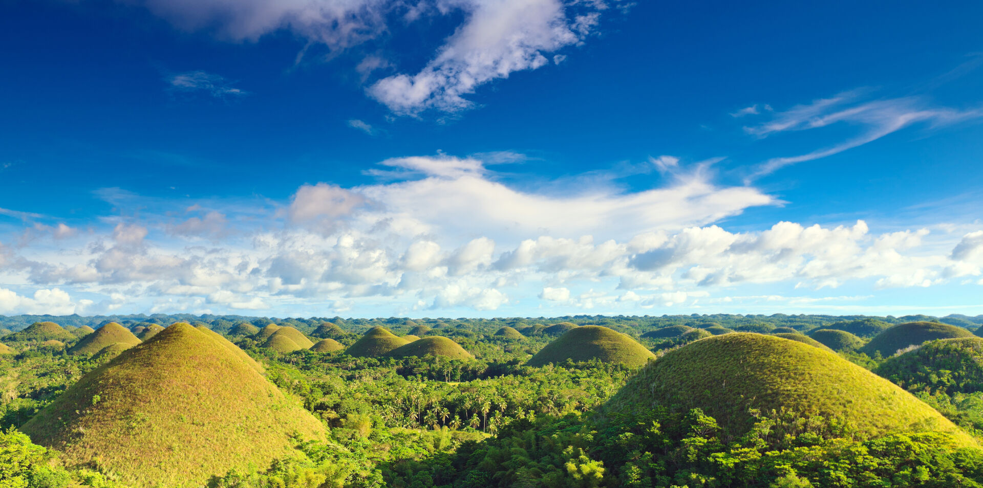 Cebu & Bohol Twin Discovery