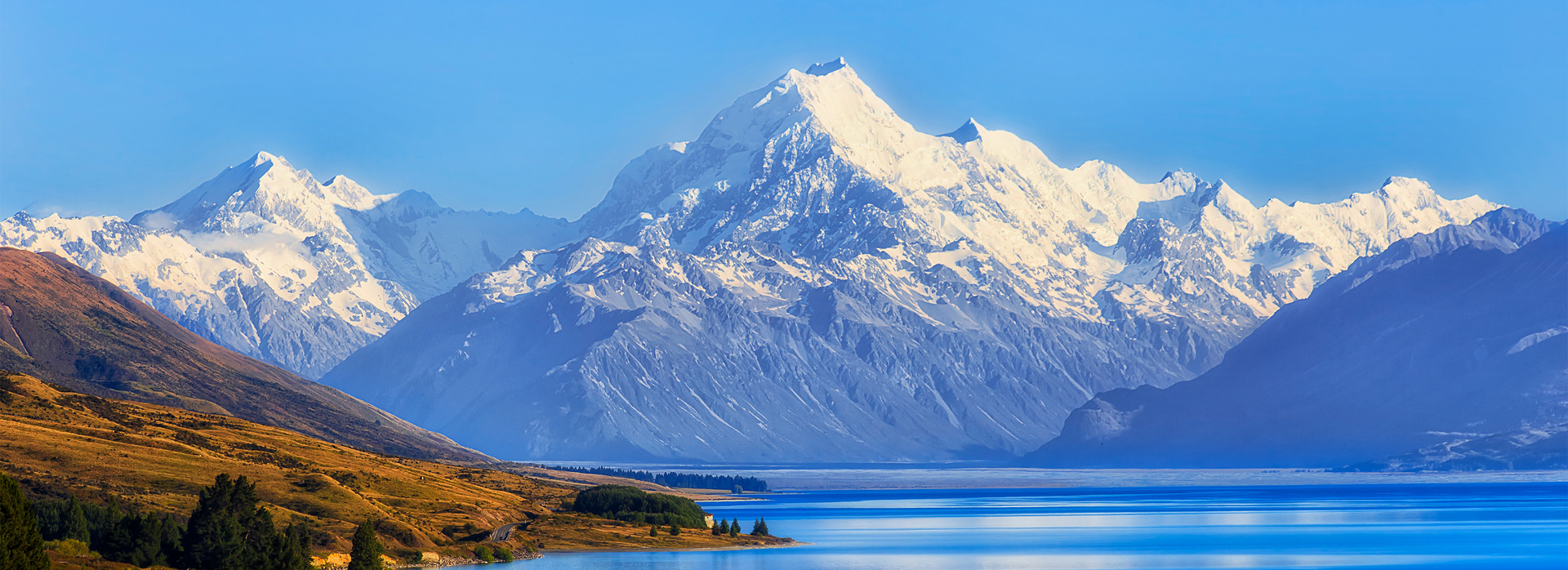 New Zealand Coach Tours banner